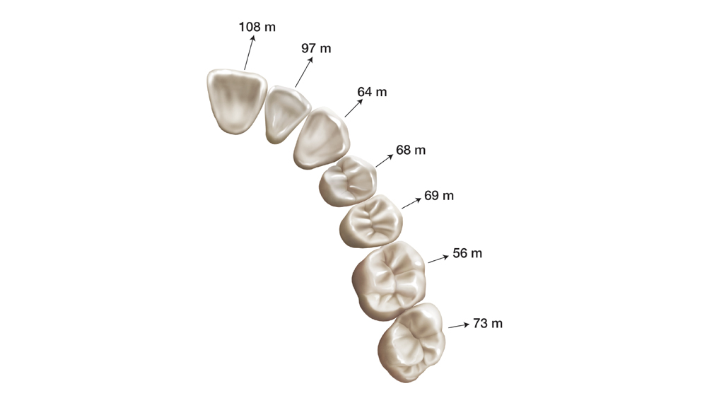 im0704implantocclusion204a1